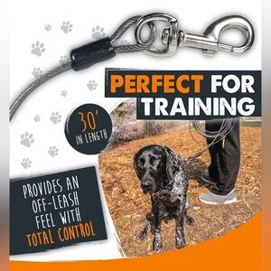 Mighty Paw 30 ft Dog Cable Tie-Out / Training Lead